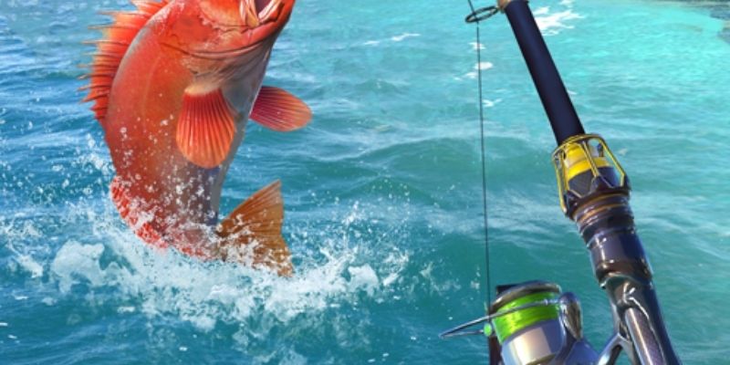 Câu cá đẳng cấp 