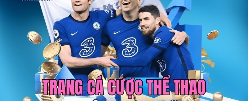 Trang cá cược thể thao 8XX